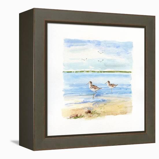 Sandpiper Beach II-Sally Swatland-Framed Stretched Canvas