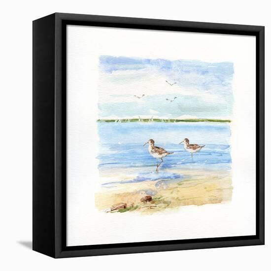 Sandpiper Beach II-Sally Swatland-Framed Stretched Canvas