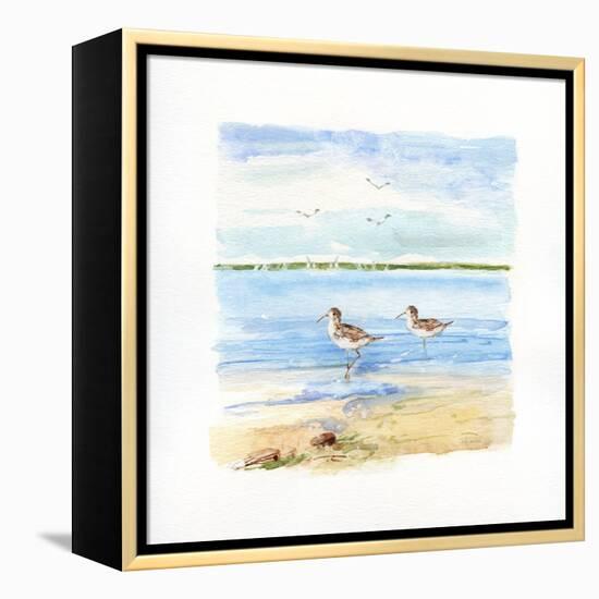 Sandpiper Beach II-Sally Swatland-Framed Stretched Canvas