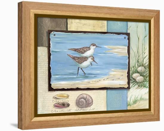 Sandpiper Collage I-Paul Brent-Framed Stretched Canvas