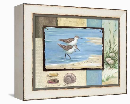 Sandpiper Collage I-Paul Brent-Framed Stretched Canvas