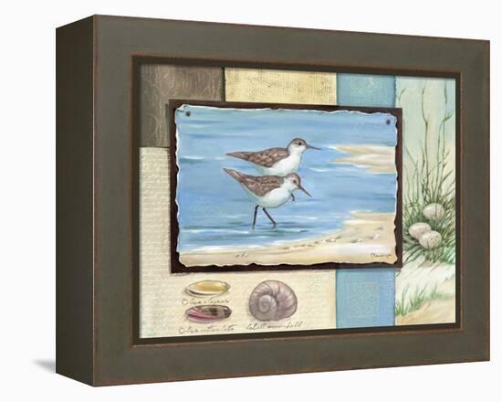 Sandpiper Collage I-Paul Brent-Framed Stretched Canvas