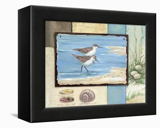 Sandpiper Collage I-Paul Brent-Framed Stretched Canvas