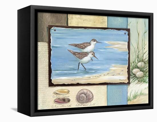 Sandpiper Collage I-Paul Brent-Framed Stretched Canvas