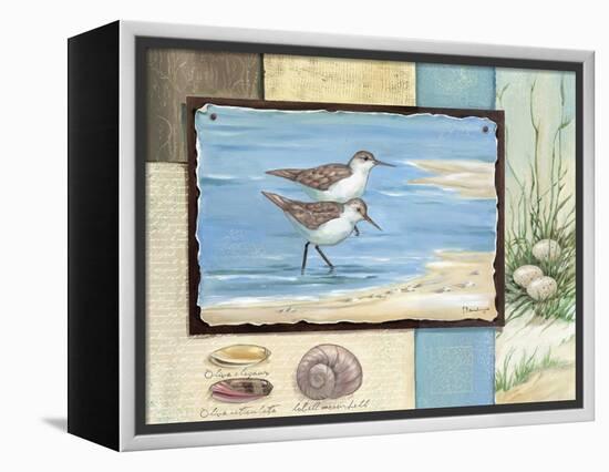 Sandpiper Collage I-Paul Brent-Framed Stretched Canvas