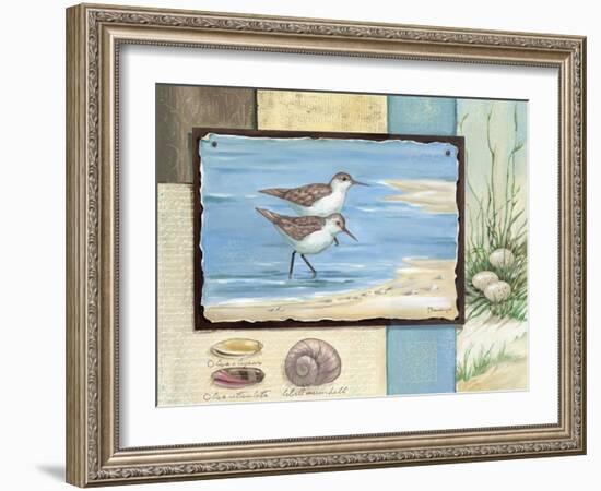 Sandpiper Collage I-Paul Brent-Framed Art Print