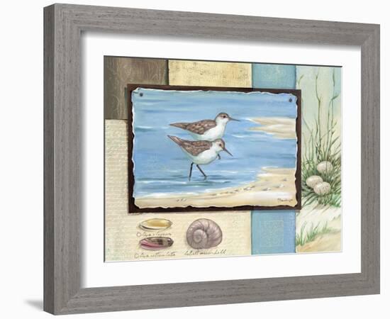 Sandpiper Collage I-Paul Brent-Framed Art Print