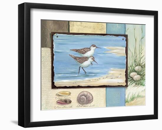 Sandpiper Collage I-Paul Brent-Framed Art Print