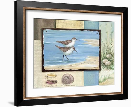 Sandpiper Collage I-Paul Brent-Framed Art Print