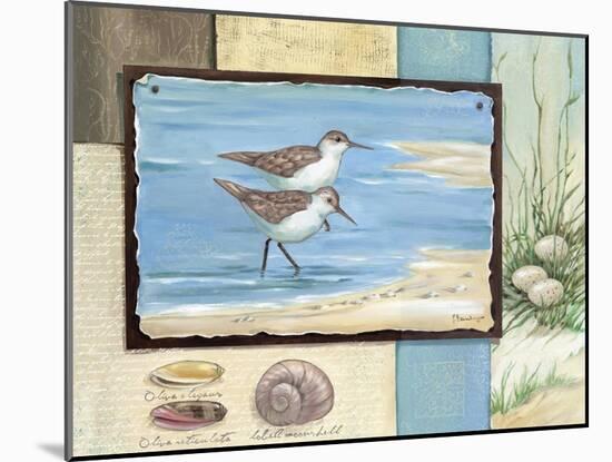 Sandpiper Collage I-Paul Brent-Mounted Art Print