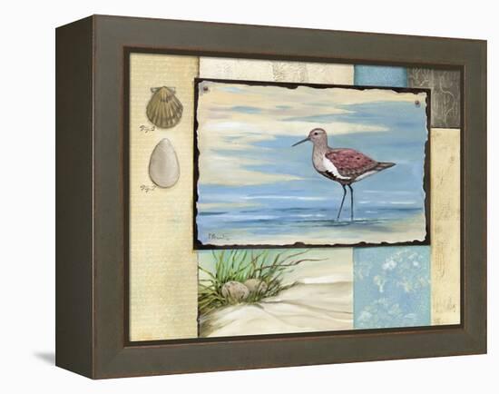 Sandpiper Collage II-Paul Brent-Framed Stretched Canvas