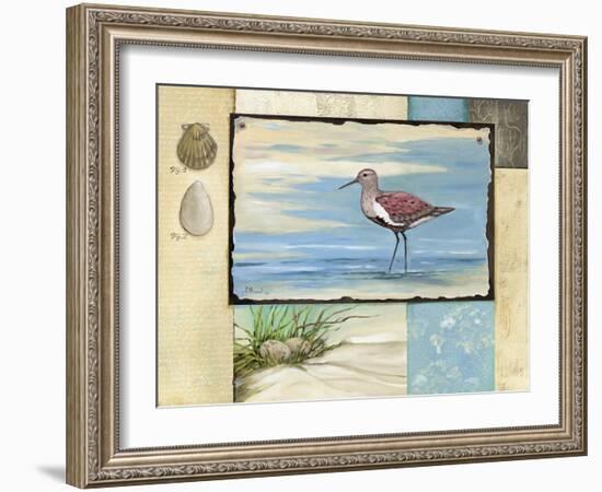 Sandpiper Collage II-Paul Brent-Framed Art Print