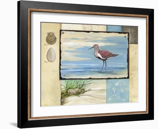 Sandpiper Collage II-Paul Brent-Framed Art Print