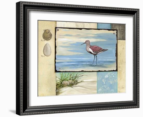 Sandpiper Collage II-Paul Brent-Framed Art Print