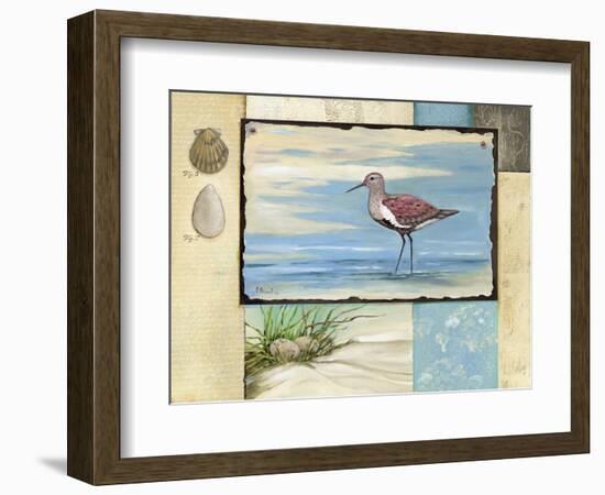 Sandpiper Collage II-Paul Brent-Framed Premium Giclee Print