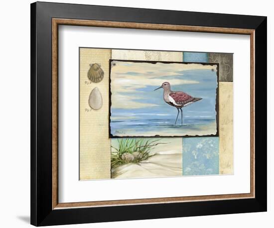 Sandpiper Collage II-Paul Brent-Framed Premium Giclee Print