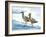 Sandpiper Cove II-Sydney Edmunds-Framed Giclee Print