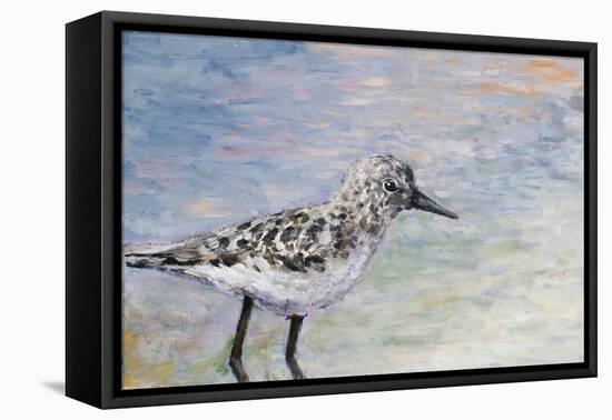 Sandpiper I-Walt Johnson-Framed Stretched Canvas