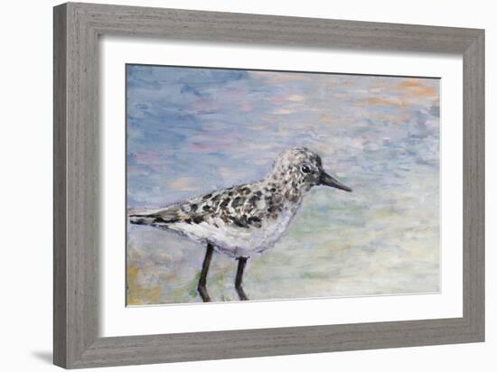 Sandpiper I-Walt Johnson-Framed Art Print