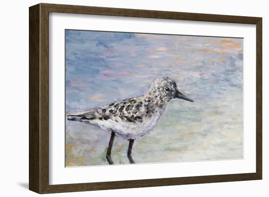 Sandpiper I-Walt Johnson-Framed Art Print