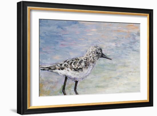 Sandpiper I-Walt Johnson-Framed Art Print