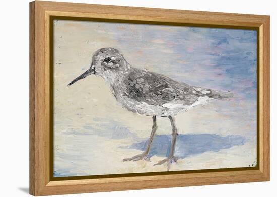 Sandpiper II-Walt Johnson-Framed Stretched Canvas