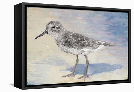 Sandpiper II-Walt Johnson-Framed Stretched Canvas