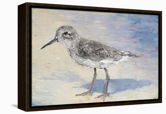 Sandpiper II-Walt Johnson-Framed Stretched Canvas