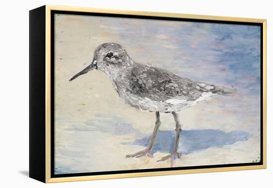 Sandpiper II-Walt Johnson-Framed Stretched Canvas