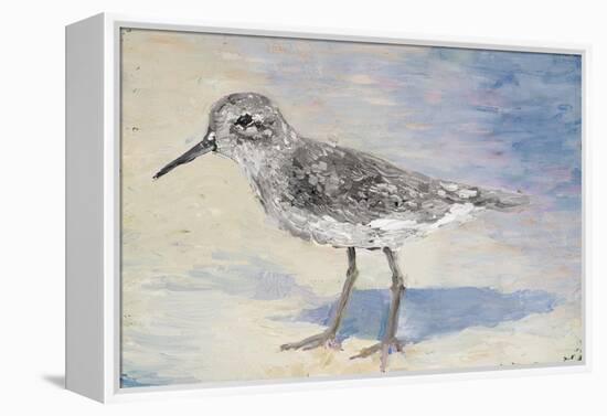 Sandpiper II-Walt Johnson-Framed Stretched Canvas