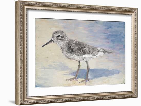 Sandpiper II-Walt Johnson-Framed Art Print