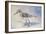 Sandpiper II-Walt Johnson-Framed Art Print