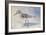 Sandpiper II-Walt Johnson-Framed Art Print