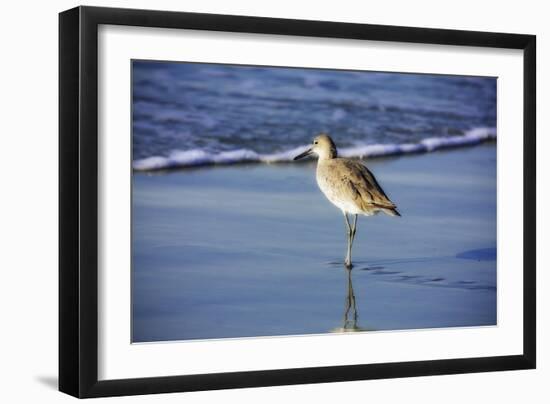 Sandpiper in the Surf I-Alan Hausenflock-Framed Photographic Print