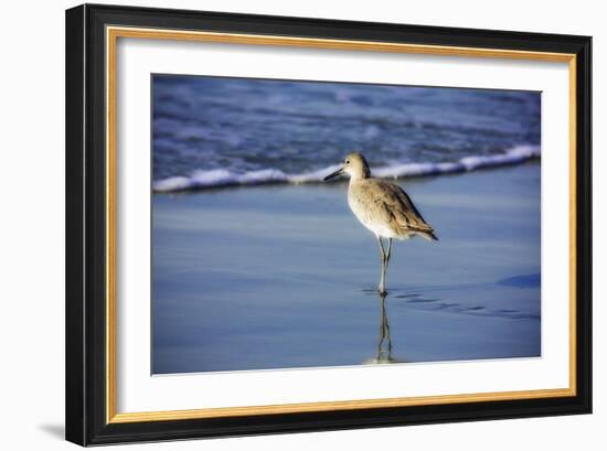 Sandpiper in the Surf I-Alan Hausenflock-Framed Photographic Print