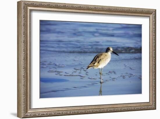 Sandpiper in the Surf II-Alan Hausenflock-Framed Photographic Print