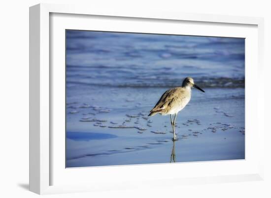 Sandpiper in the Surf II-Alan Hausenflock-Framed Photographic Print