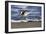 Sandpiper in the Surf III-Alan Hausenflock-Framed Photographic Print