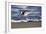 Sandpiper in the Surf III-Alan Hausenflock-Framed Photographic Print