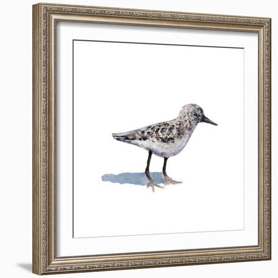 Sandpiper on White I-Walt Johnson-Framed Art Print