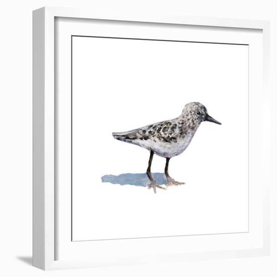 Sandpiper on White I-Walt Johnson-Framed Art Print