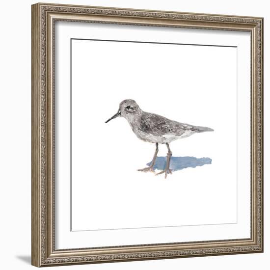 Sandpiper on White II-Walt Johnson-Framed Art Print