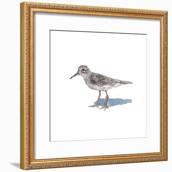 Sandpiper on White II-Walt Johnson-Framed Art Print