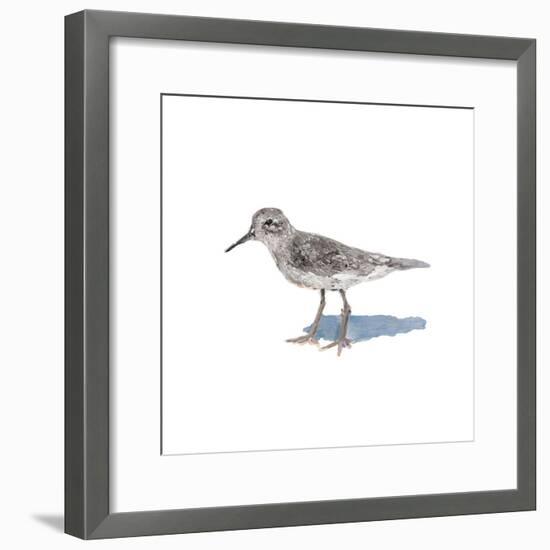 Sandpiper on White II-Walt Johnson-Framed Art Print