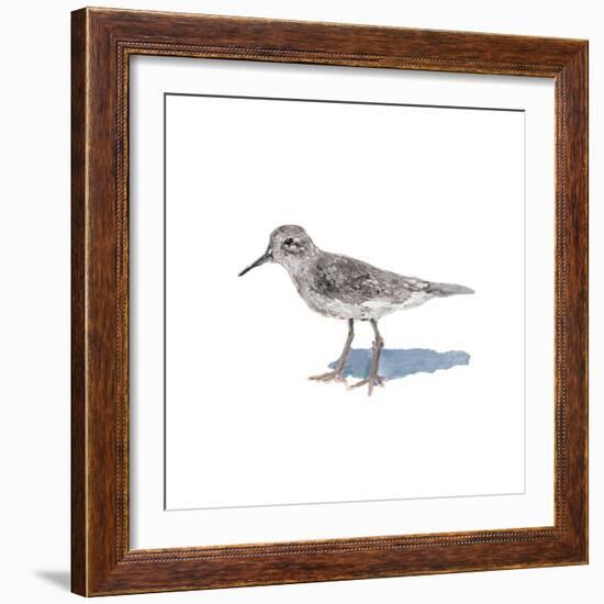 Sandpiper on White II-Walt Johnson-Framed Art Print