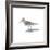 Sandpiper on White II-Walt Johnson-Framed Art Print