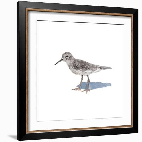 Sandpiper on White II-Walt Johnson-Framed Art Print