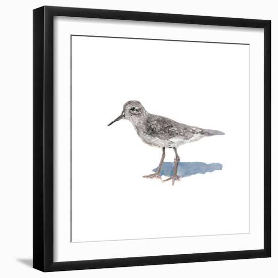 Sandpiper on White II-Walt Johnson-Framed Art Print