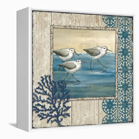 Sandpiper Shore I-Paul Brent-Framed Stretched Canvas