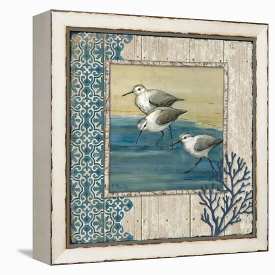 Sandpiper Shore II-Paul Brent-Framed Stretched Canvas
